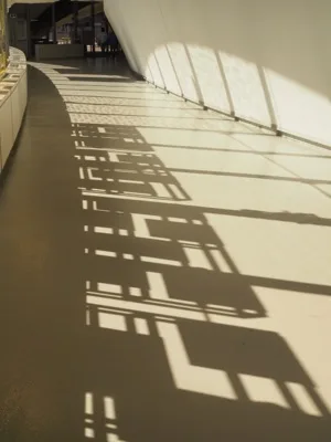 Montreal photograph 5